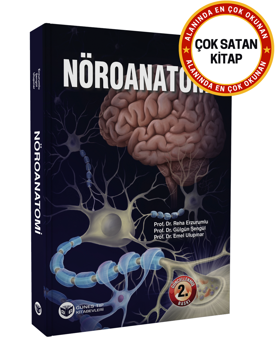 Nöroanatomi (Güncellenmiş 2. Baskı)