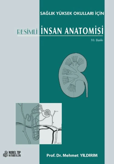 Sağlık Yüksek Okulları için Resimli İnsan Anatomisi 10. Baskı