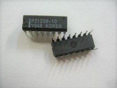 P21256