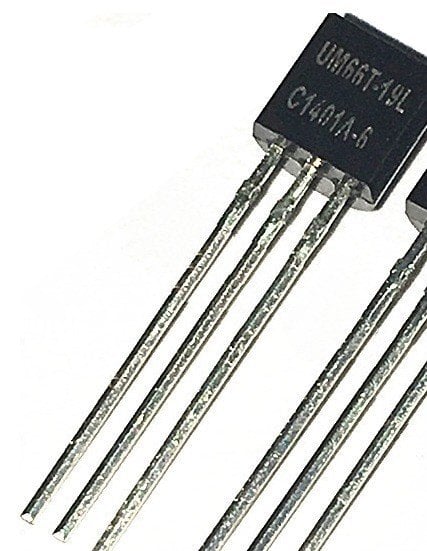 UM66T19