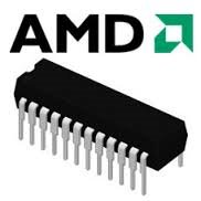AM81C176-35PC