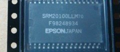 SRM20100