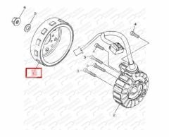 DELİGHT 125 ROTOR 2021-2022