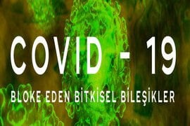 Covid-19`u Bloke Eden Bitkisel Bileşikler