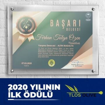 Zeytin Hanım Gold Sarımsak Çeşnili Soğuk Sıkım Natürel Sızma Zeytinyağı 250 ml