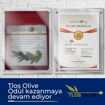 Zeytin Hanım Gold Flavored Extra Virgin Olive Oil Set