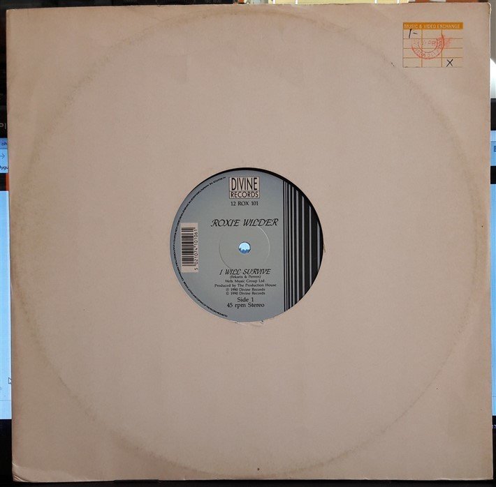 ROXIE WILDER - I WILL SURVIVE (1990) - 12'' MAXI SINGLE PLAK 2.EL