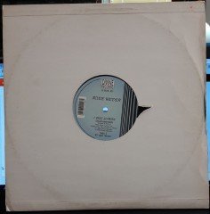 ROXIE WILDER - I WILL SURVIVE (1990) - 12'' MAXI SINGLE PLAK 2.EL