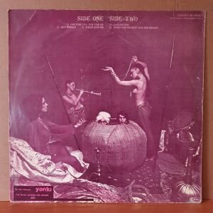LA BIONDA - LA BIONDA (1978) - LP YERLİ BASKI 2.EL PLAK