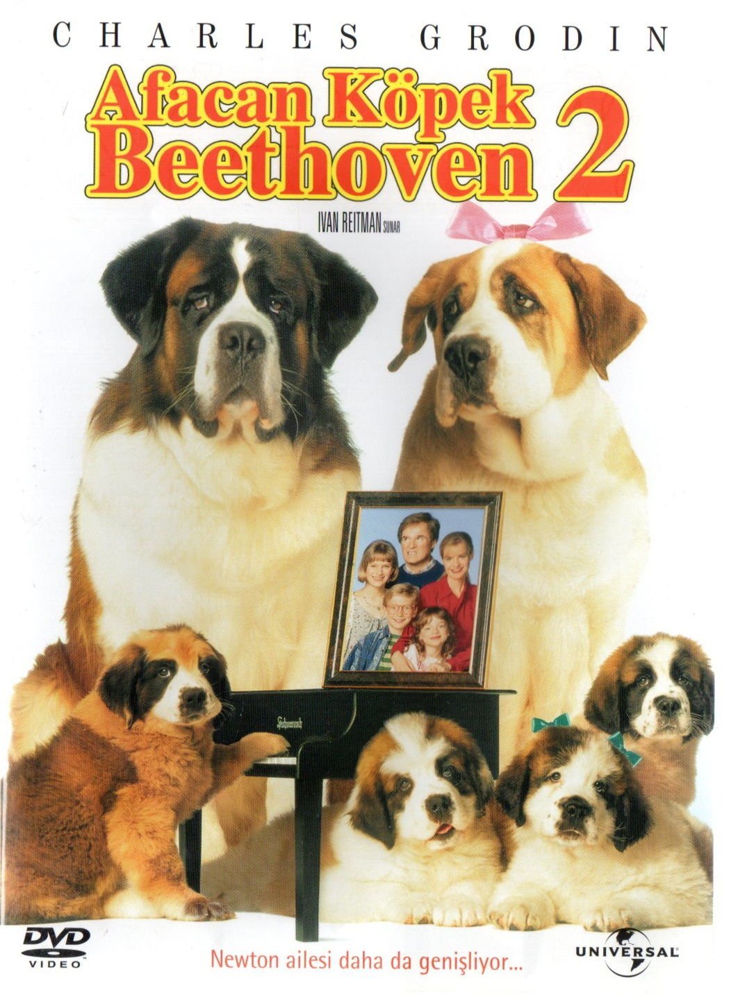 BEETHOVEN'S 2ND - AFACAN KÖPEK BEETHOVEN 2 - CHARLES GRODIN - DVD 2.EL