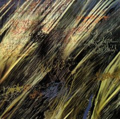 ANIMALS ON WHEELS - NUVOL I CADIRA (1999) - CD IDM DOWNTEMPO 2.EL