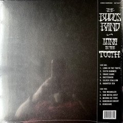 BUDOS BAND - LONG IN THE TOOTH (2020) - LP GATEFOLD SIFIR PLAK