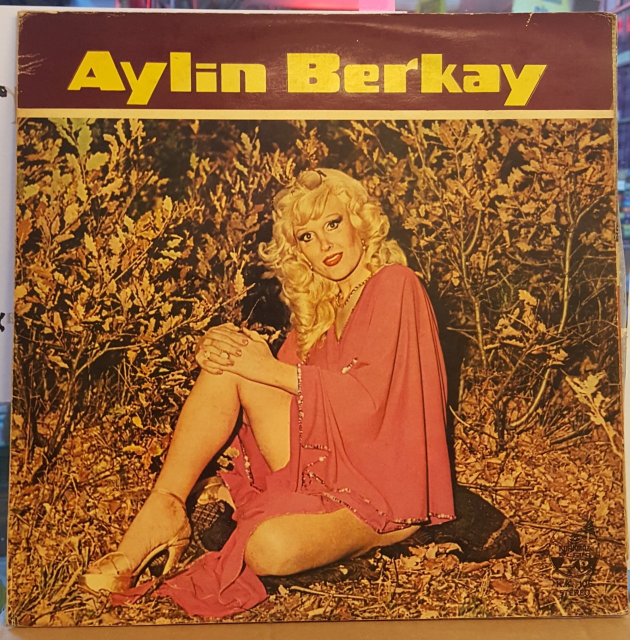 AYLİN BERKAY (SERBÜLENT SULTAN) - 1979 - LP FANTEZİ / ARABESK 2.EL PLAK