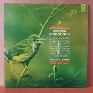 COMMON BIRD SONGS / DONALD J. BORROR (1967) - LP 2.EL PLAK