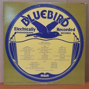 THE CATS AND THE FIDDLE - I MISS YOU SO (1976) - 2LP 2.EL PLAK