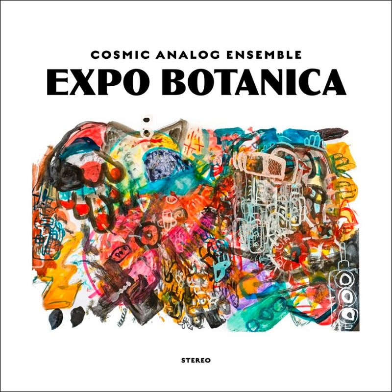 COSMIC ANALOG ENSEMBLE – EXPO BOTANICA (2022) LP SIFIR PLAK