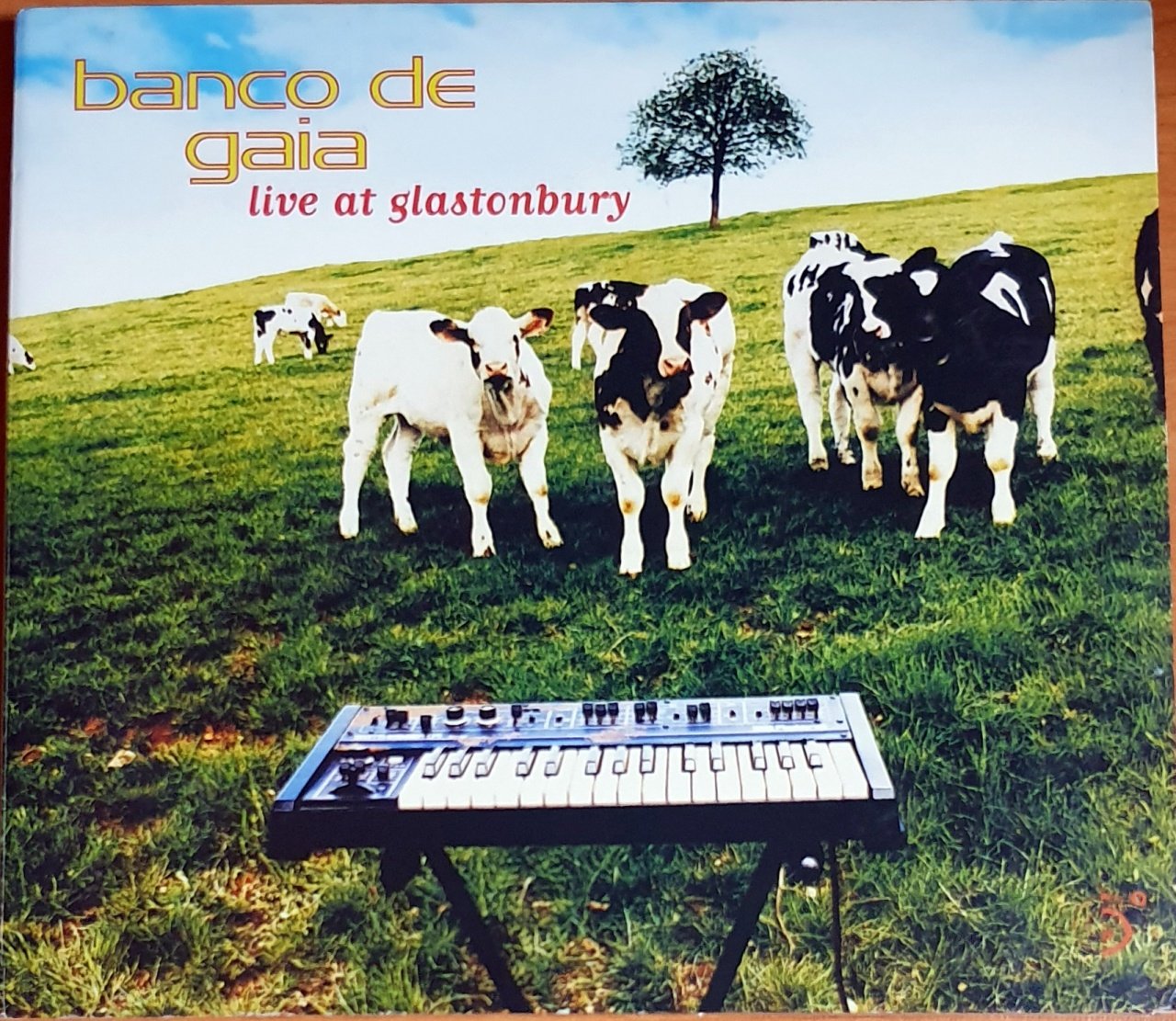 BANCO DE GAIA - LIVE AT GLASTONBURY (1996) - CD SIX DEGREES RECORDS 2.EL