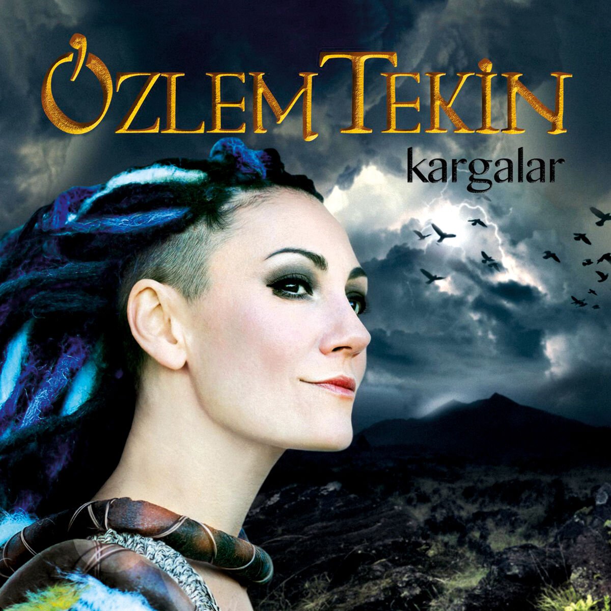 ÖZLEM TEKİN - KARGALAR (2013) - LP 2023 BASIM SIFIR PLAK