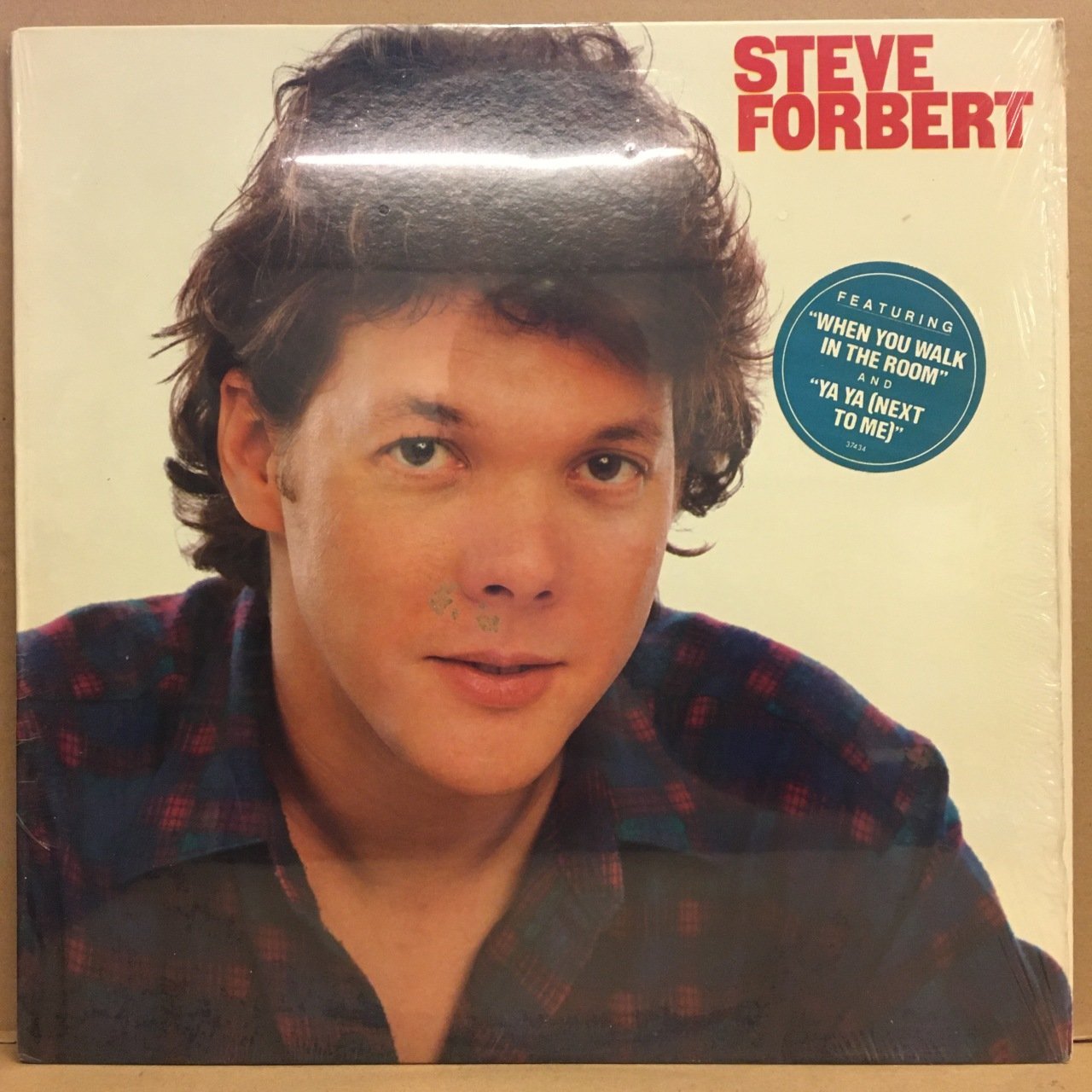 STEVE FORBERT - STEVE FORBERT (1982) 2.EL PLAK