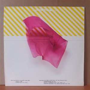 ROCK DISCO / CULTURE CLUB, BANANARAMA, PRINCE, DIVINE, BOOTS CLEMENTS, POINTER SISTERS - LP YERLİ BASKI 2.EL PLAK