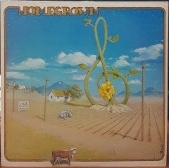 KGB RECORDS HOMEGROWN III (1975) - PLAK 2.EL