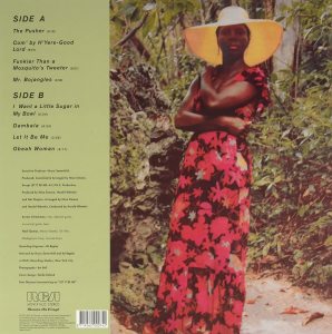 NINA SIMONE - IT IS FINISHED (1974) - LP PLAK SIFIR MUSIC ON VINYL