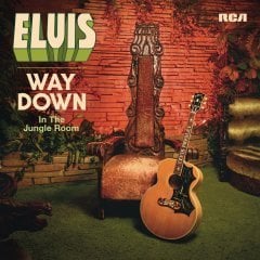 ELVIS PRESLEY - WAY DOWN IN THE JUNGLE ROOM - 2LP SIFIR KAPAK HAFİF YORGUN