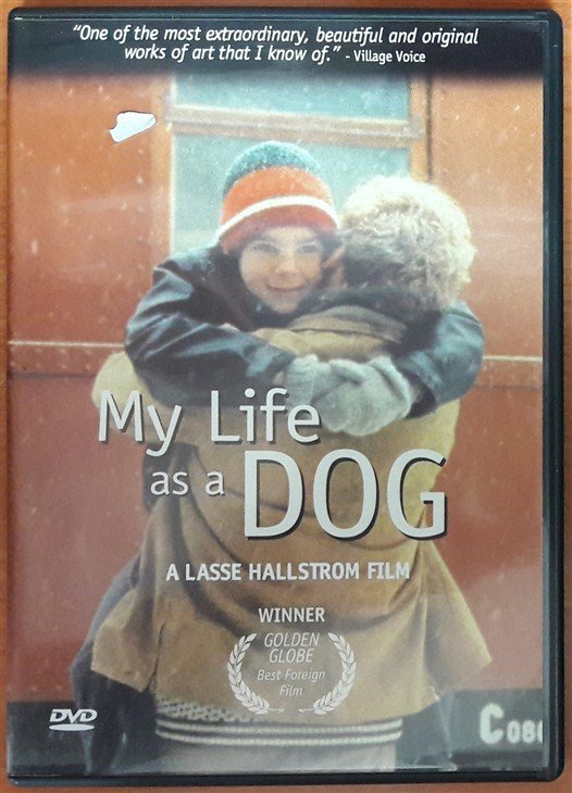 MY LIFE AS A DOG - LASSE HALLSTROM - DVD 2.EL 1. BÖLGE TR ALTYAZI YOKTUR