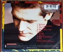 DAVID SANBORN - HEARSAY (1994) ELEKTRA CD 2.EL