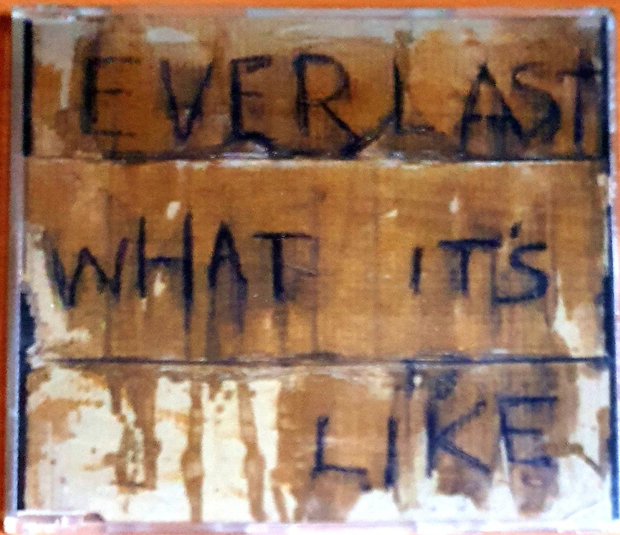 EVERLAST - WHAT IT'S LIKE (1999) - CD SINGLE 2.EL