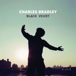 CHARLES BRADLEY - BLACK VELVET (2018) - LP COMPILATION SIFIR PLAK