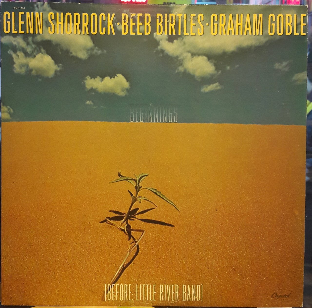 GLENN SHORROCK, BEEB BIRTLES, GRAHAM GOBLE - BEGININGS (1979) - PLAK 2.EL