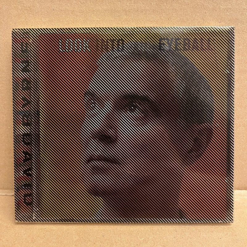 DAVID BYRNE – LOOK INTO THE EYEBALL (2001) - CD 2.EL