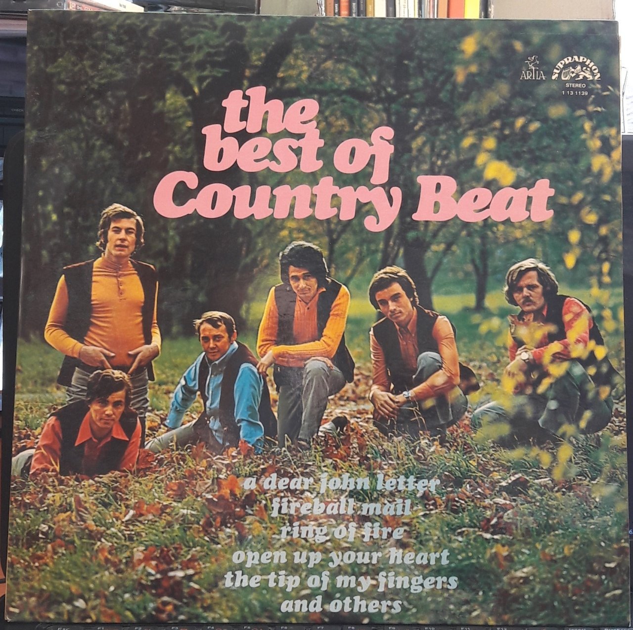 COUNTRY BEAT - THE BEST OF (1971) - PLAK 2.EL