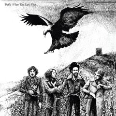 TRAFFIC - WHEN THE EAGLE FLIES (1974) - LP PLAK SIFIR