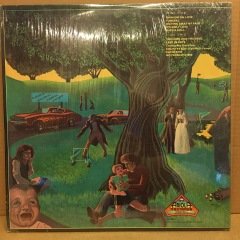 MAC McANALLY - NO PROBLEM HERE 1978 2.EL PLAK
