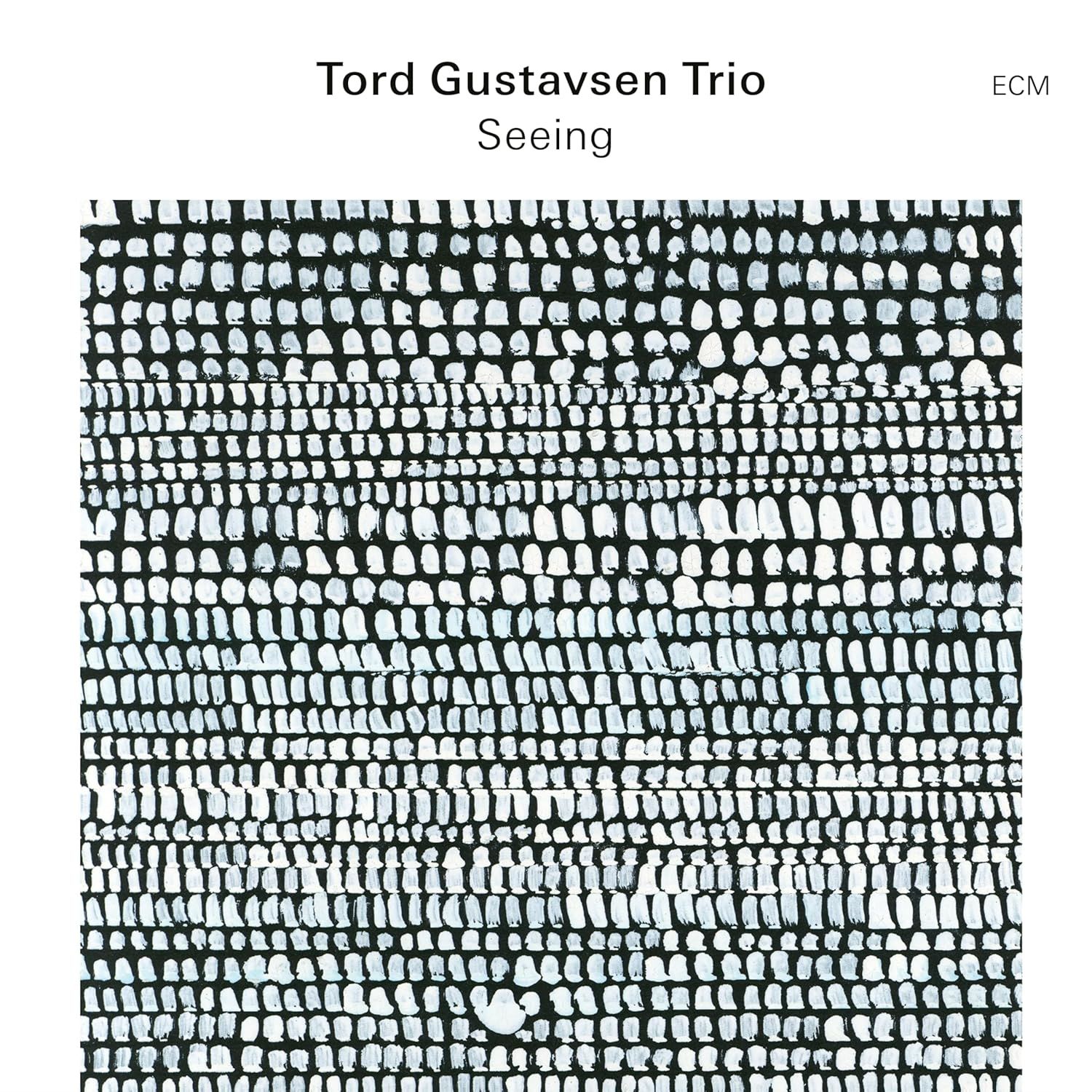 TORD GUSTAVSEN TRIO - SEEING (2024) - LP ECM RECORDS SIFIR PLAK