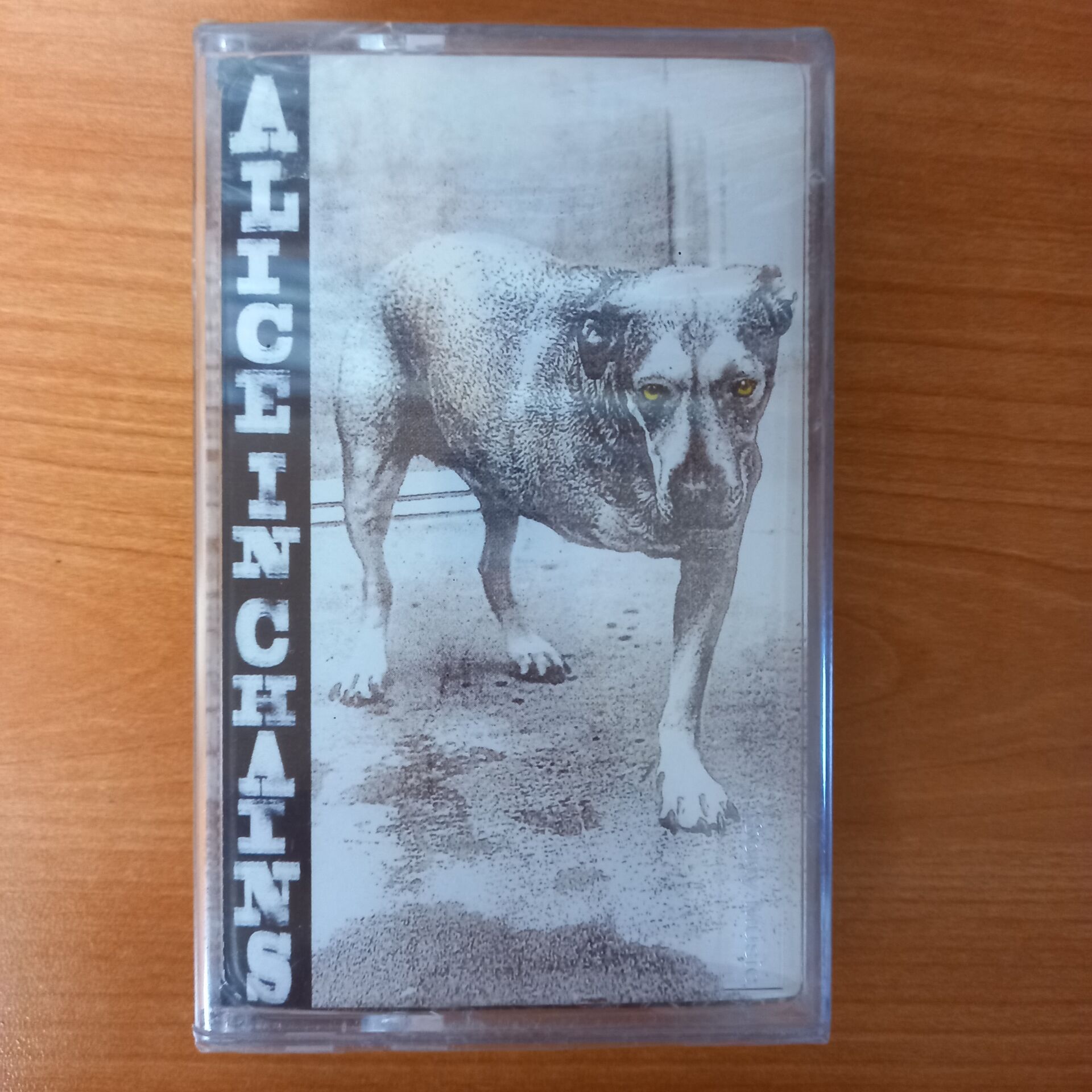 ALICE IN CHAINS - ALICE IN CHAINS (1995) - KASET SIFIR