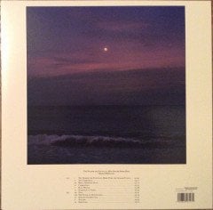 DAMON ALBARN - THE NEARER THE FOUNTAIN,... (2021) - LP SIFIR PLAK