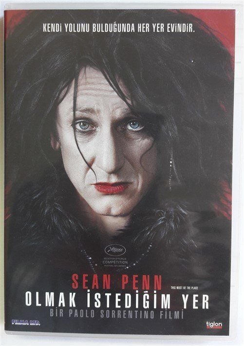 THIS MUST BE THE PLACE - OLMAK İSTEDİĞİM YER - SEAN PENN - PAOLO SORRENTINO - DVD 2.EL