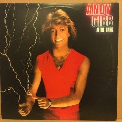 ANDY GIBB - AFTER DARK 1980 2.EL PLAK BEE GEES