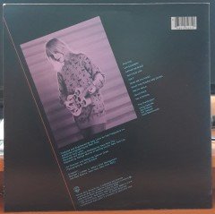 ROBIN LANE & THE CHARTBUSTERS - IMITATION LIFE (1981) - PLAK 2.EL