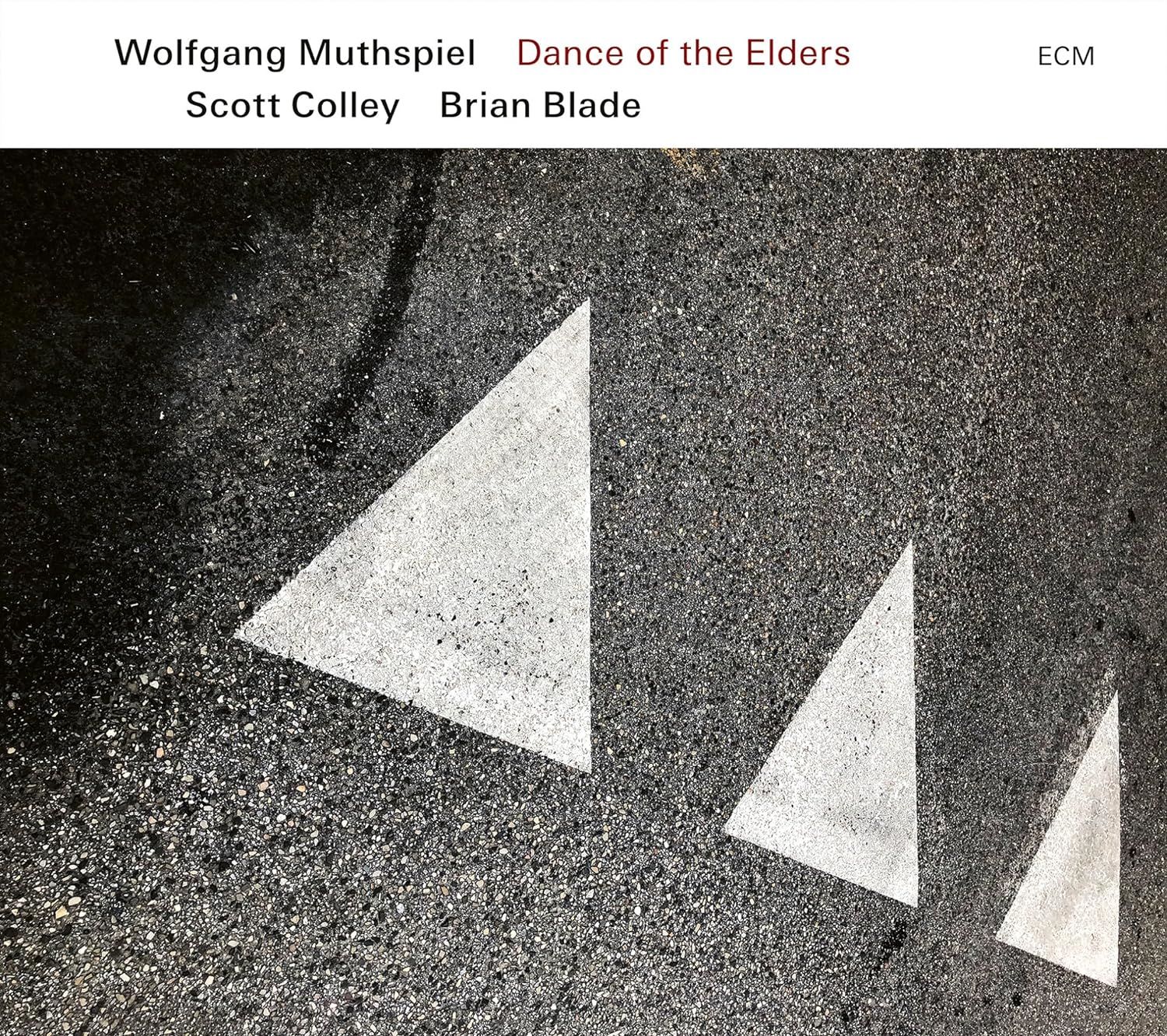 WOLFGANG MUTHSPIEL - DANCE OF THE ELDERS (2023) SCOTT COLLEY BRIAN BLADE - LP ECM RECORDS SIFIR PLAK