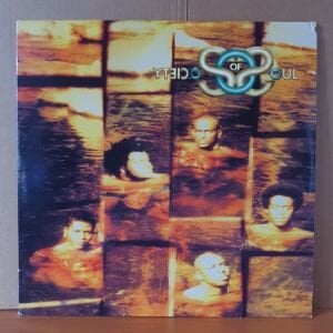 SOCIETY OF SOUL - BRAINCHILD (1995) - 2LP 2.EL PLAK