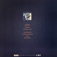 TINDERSTICKS - DISTRACTIONS (2021) - CD DIGIPACK SIFIR