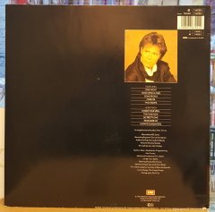 CLIFF RICHARD - ALWAYS GUARANTEED (1987) - LP 2.EL PLAK