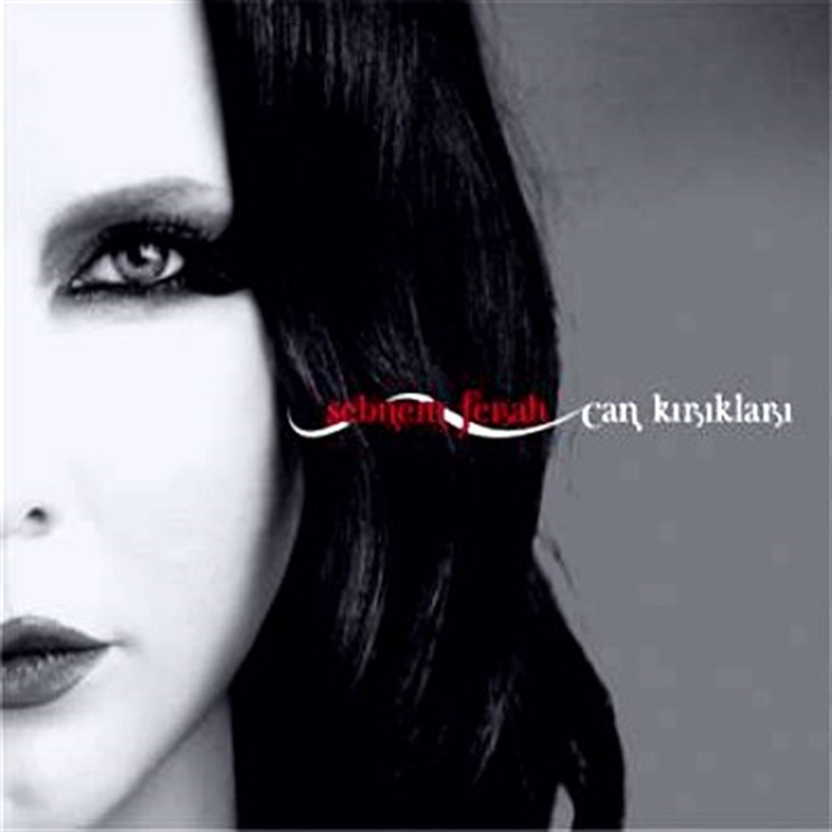ŞEBNEM FERAH - CAN KIRIKLARI (2005) - CD SIFIR