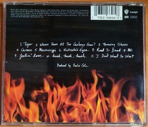 PAULA COLE - THIS FIRE (1996) - HDCD 2.EL