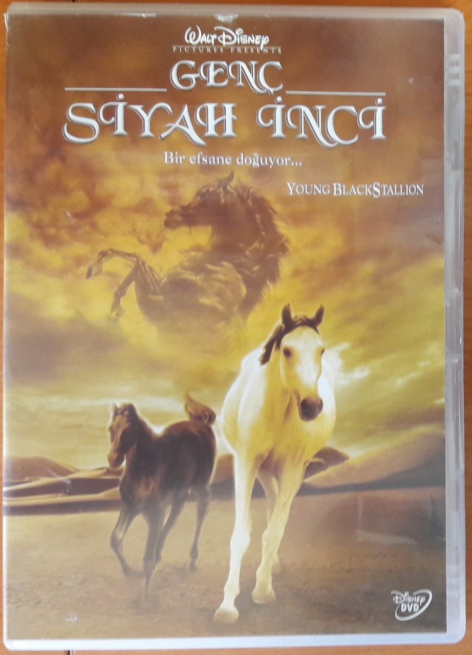 GENÇ SİYAH İNCİ - YOUNG BLACK STALLION - WALT DISNEY - DVD 2.EL