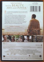 12 YEARS A SLAVE - CHIWETEL JIOFOR - MICHAEL FASSBENDER - STEVE McQUEEN - DVD 2.EL 1. BÖLGE TR ALTYAZI YOKTUR